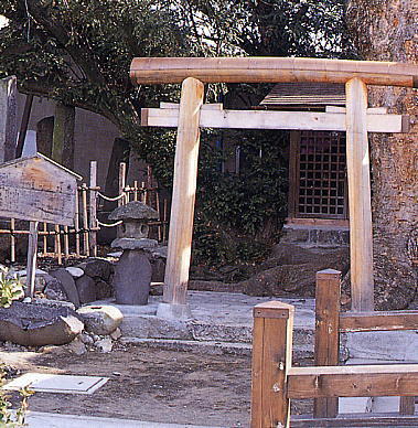 槻井泉神社の湧泉
