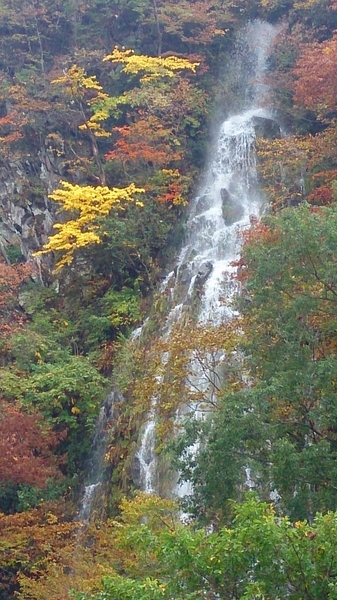 名瀑　幻の滝 樽滝 ～秋～