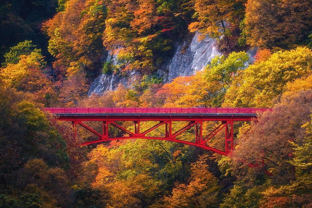 清流と峡谷、紅葉が織りなす
美しき秋を旅する