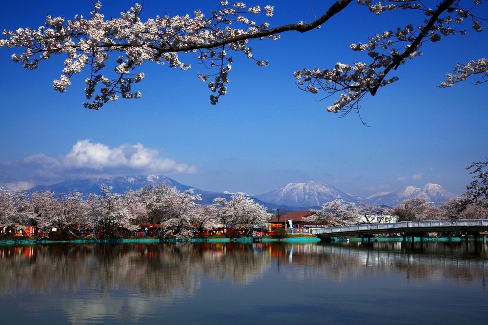 長野県の桜の見頃（4月上旬～4月中旬）