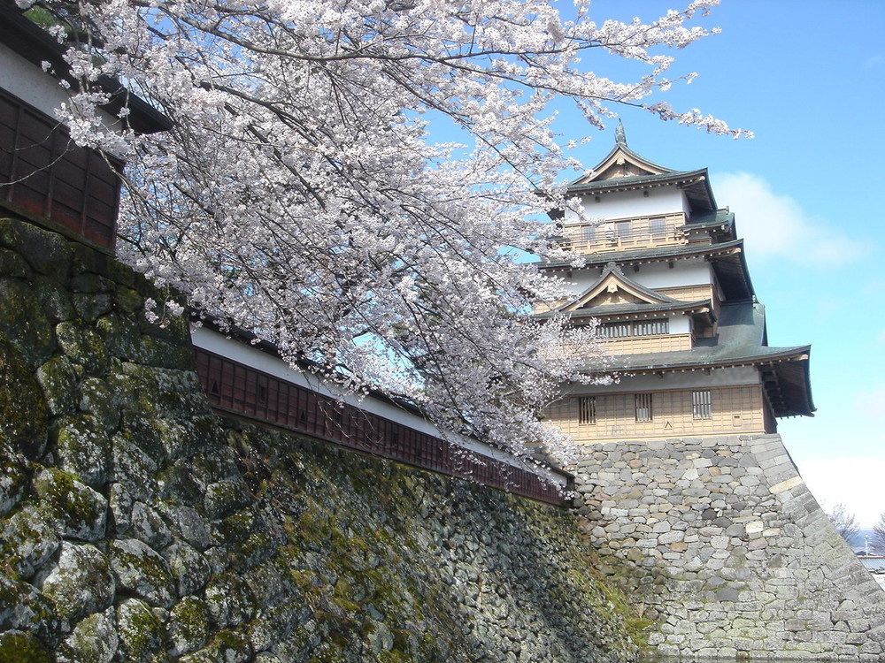 長野県の桜の見頃（4月中旬～4月下旬）伊那路・諏訪・木曽路エリア