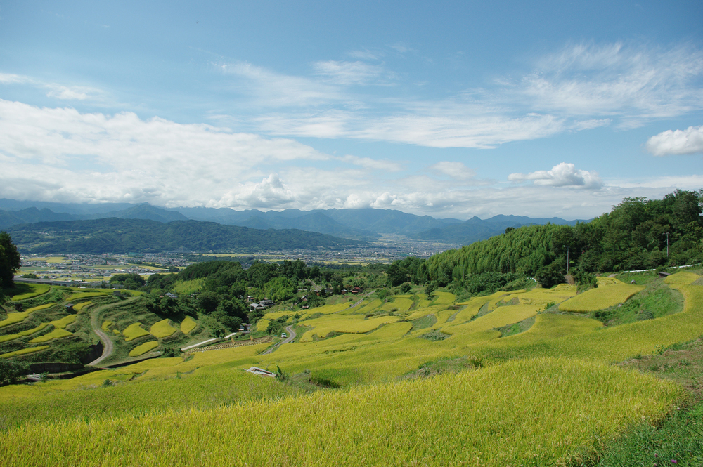 日本の棚田百選登録数、全国1位! 原風景を思わせる長野県の棚田へ