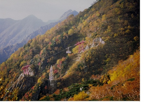 駒ヶ岳ロープウエイ区間の紅葉