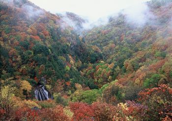 横谷峡の紅葉