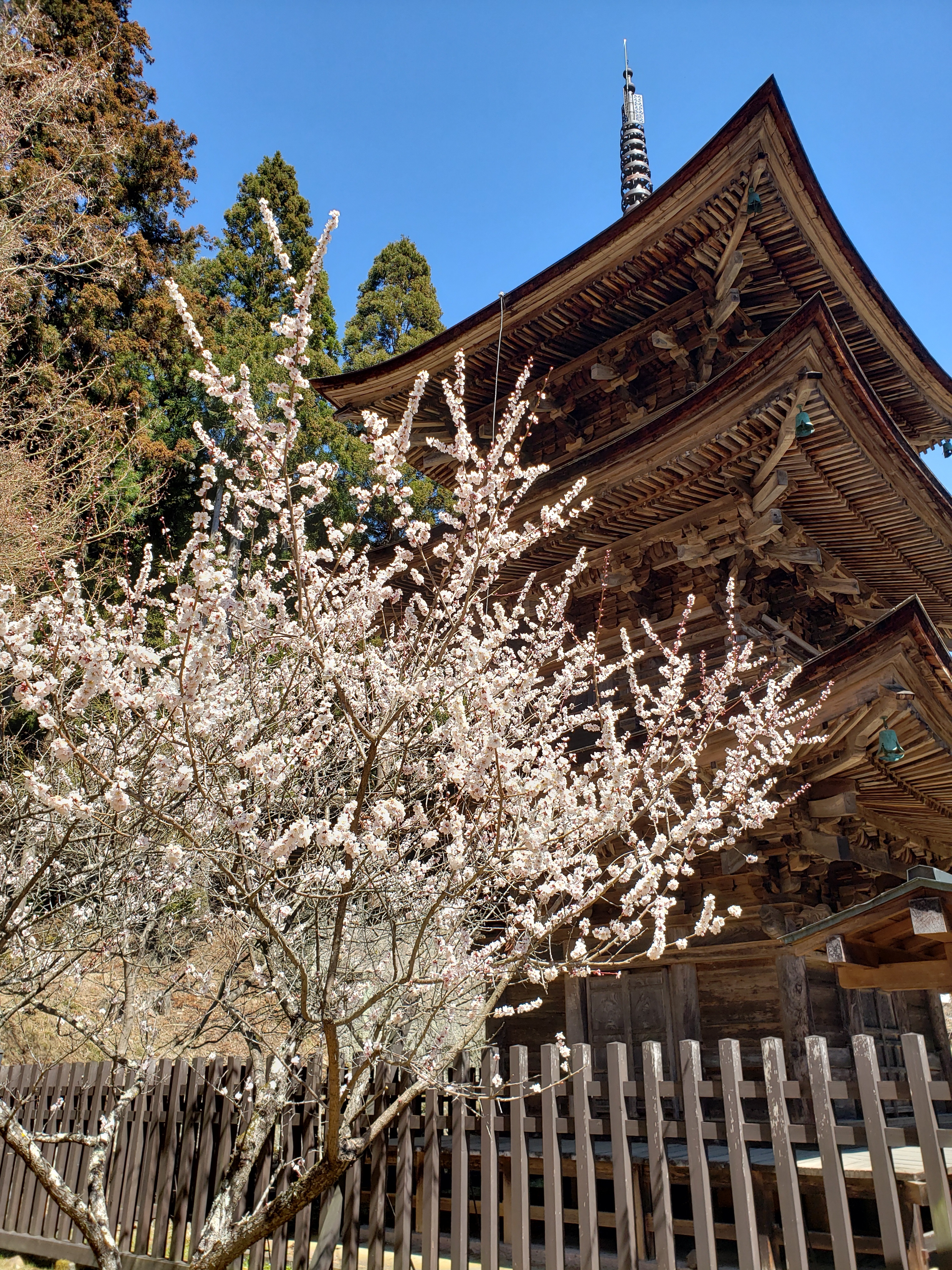 新海三社神社