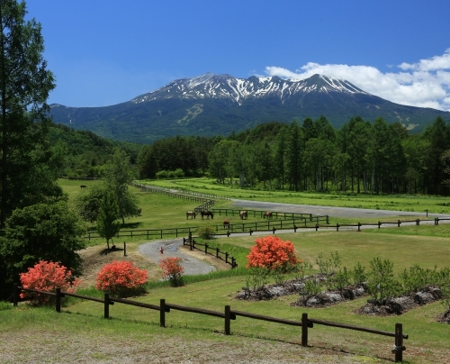 開田高原