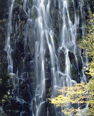 名瀑 幻の滝 樽滝
